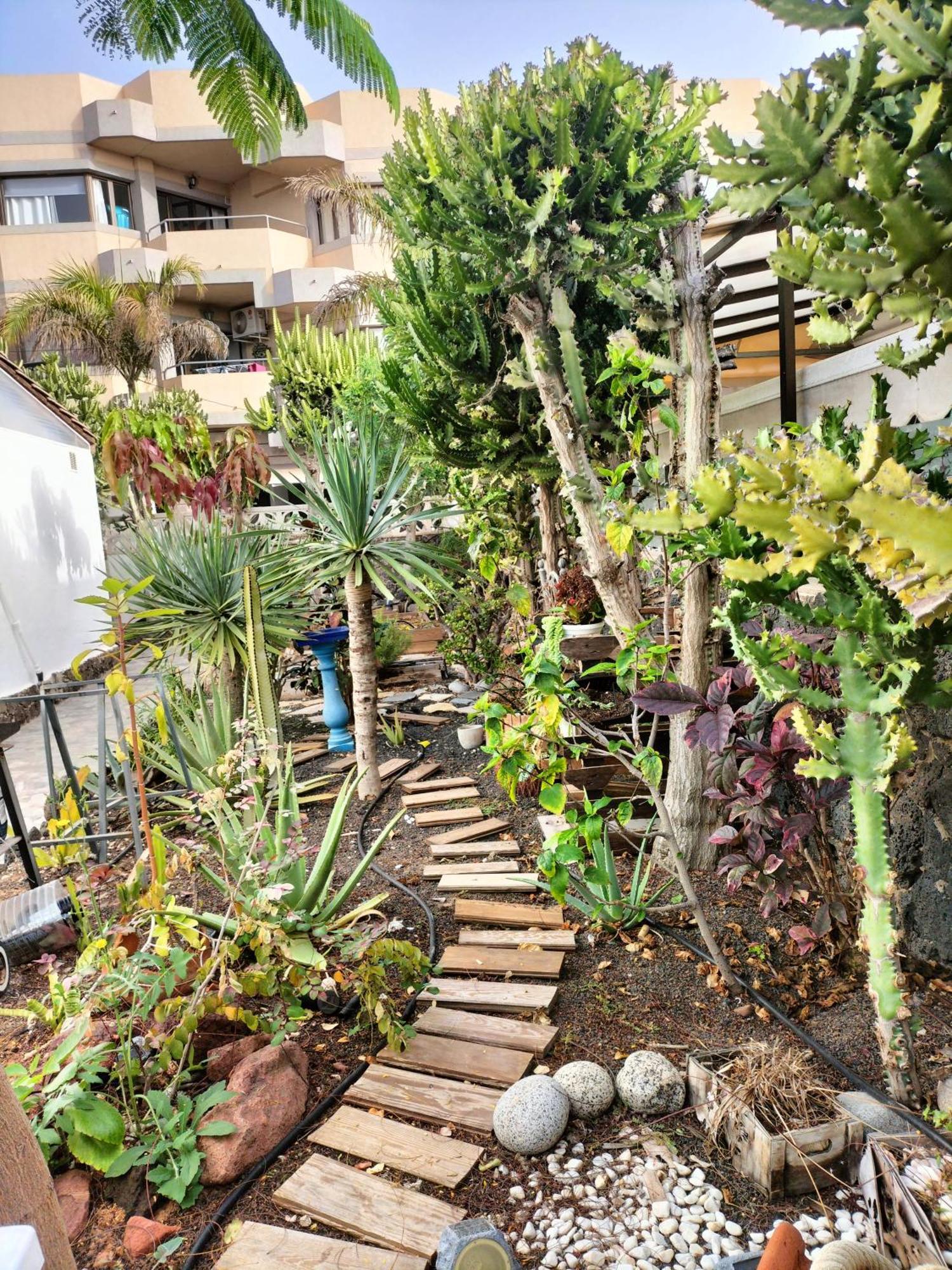Apartamento Diamar 코라레호 외부 사진